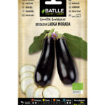 Semillas Ecológica Berenjena Larga Morada
