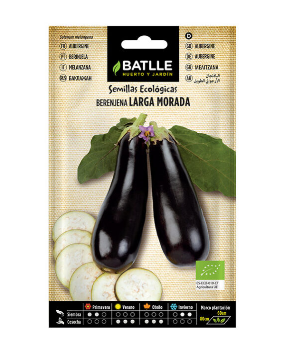 Semillas Ecológica Berenjena Larga Morada