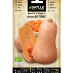 Semillas Ecológica Calabaza Butternut Batlle