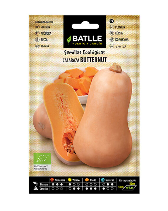Semillas Ecológica Calabaza Butternut Batlle