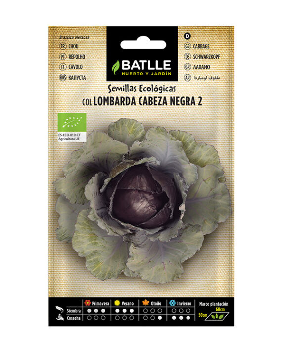 Semillas Ecológicas Col Lombarda Cabeza Negra 2 Batlle