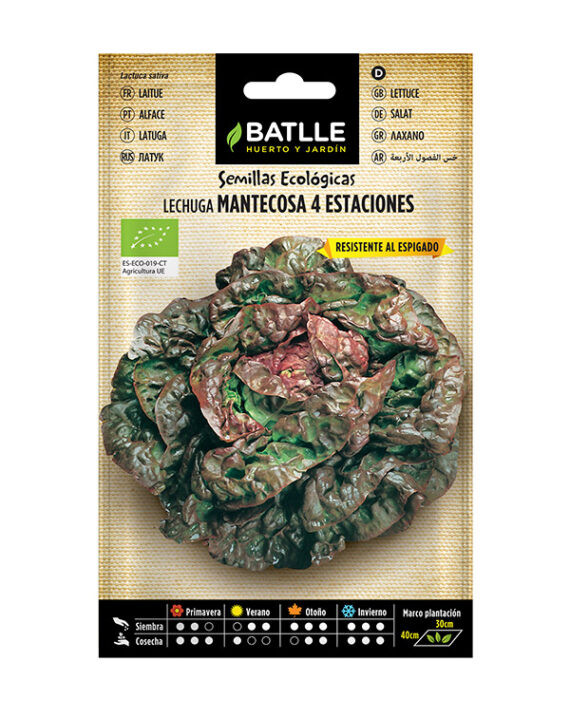 Semillas Ecológicas Lechuga Mantecosa 4 Estaciones Batlle