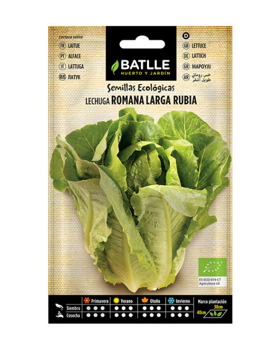 Semillas Ecológicas Lechuga Romana Larga Rubia Batlle