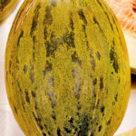 Semillas Ecológicas Melón Piel de Sapo Batlle