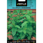 Semillas Menta Spicata Batlle