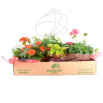 Caja de Plantas Coloridas para Balcón o Terraza Amarillo / Salmón
