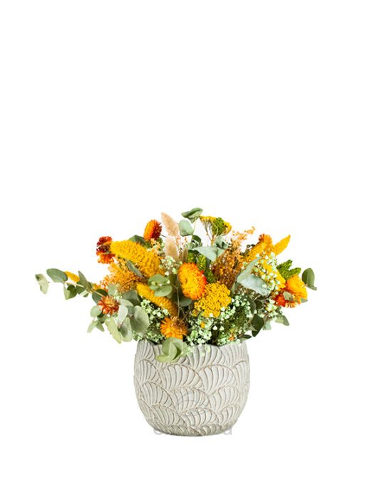 composicion-de-flor-seca-alegre