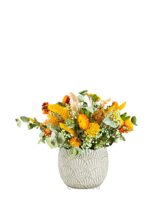 Composición de Flor Seca Alegre