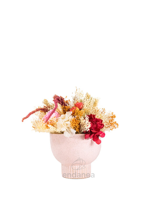 composicion-de-flor-seca-suave