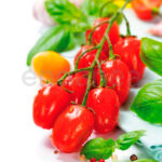 Tomate Cherry Pera Plantas Hortícolas