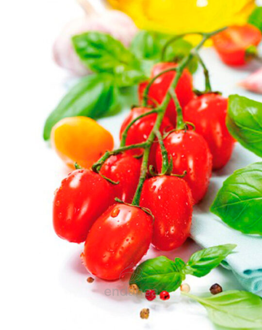 tomate-cherry-pera-plantas-horticolas-frutos