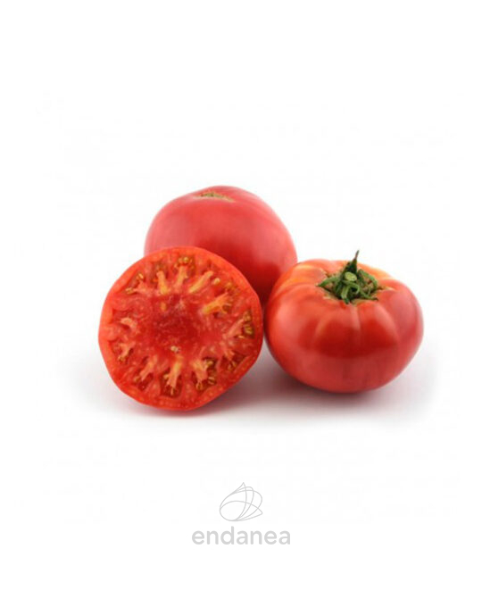 tomate-morado-plantas-horticolas-frutos