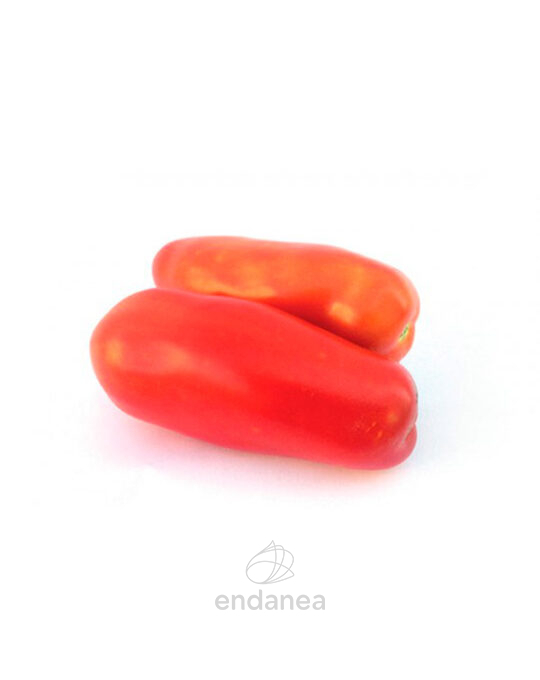 tomate-san-marzano-plantas-horticolas-fruto