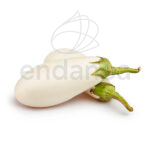 Berenjena Blanca Larga Planta 6 unidades