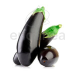 Berenjena Negra Larga Planta 6 unidades
