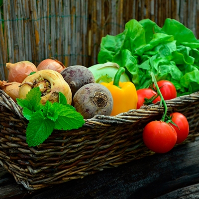 Curso Asociación de Cultivos y Plantas Compañeras