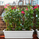 Jardinera Elho® Barcelona XL White Exterior Balcón
