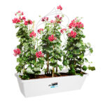 Jardinera Elho® Barcelona XL White Planta