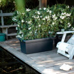Jardinera Elho Green Basics Garden XXL Living Black Exterior