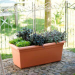 Jardinera Elho Green Basics Garden XXL Mild Terra Balcón