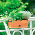Jardinera Elho Green Basics Trough Allin1 Mild Terra Exterior