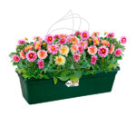 Jardinera Elho Green Basics Trough Leaf Green Planta
