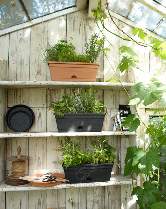 jardinera-elho-green-basics-trough-mini-decoracion