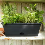 Jardinera Elho Green Basics Trough Mini Living Black Interior