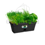 Jardinera Elho Green Basics Trough Mini Living Black Planta