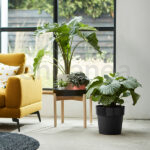 Elho b.for Original Round Living Black Interior