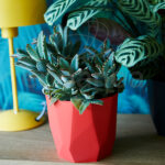 Maceta Elho b.for Rock Brilliant Red Interior