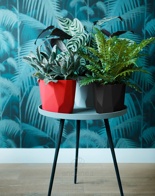 maceta-elho-b-for-rock-living-black-interior