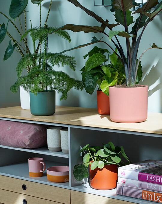 maceta-elho-b-for-soft-round-delicate-pink-interior