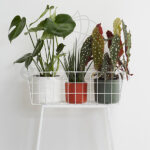 Maceta Elho b.for Soft Round White Interior