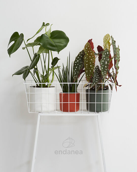 maceta-elho-b-for-soft-round-white-interior
