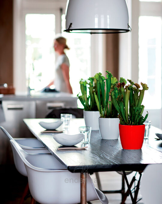 maceta-elho-brussels-diamond-round-lovely-red-interior