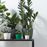 Maceta Elho Brussels Round Antracita Decoración