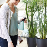 Maceta Elho Brussels Round Antracita Decoración