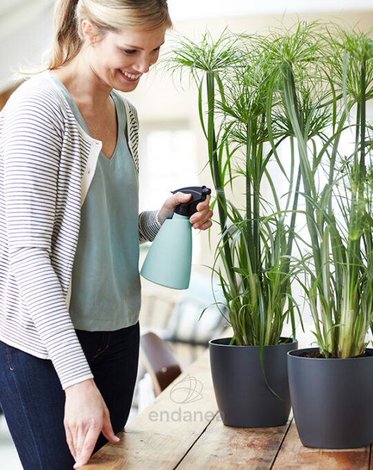 maceta-elho-brussels-round-antracita-plantas