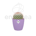 Maceta Elho Brussels Round Mini New Violet Planta