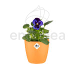 Maceta Elho Brussels Round Mini Sunrise Orange Planta
