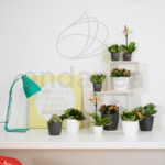 Maceta Elho Brussels Round Mini White Interior