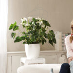Maceta Elho Brussels Round White Interior