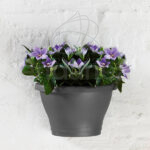 Maceta Elho Corsica Wall Basket Antracita 25cm Colgante Pared