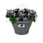 Maceta Elho Corsica Wall Basket Antracita 25cm Planta