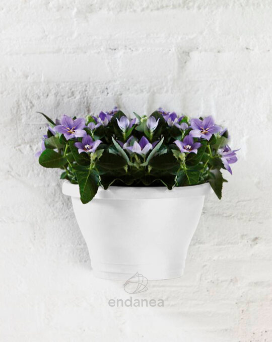 maceta-elho-corsica-wall-basket-white-colgante