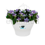Maceta Elho Corsica Wall Basket White 25cm Colgante Planta