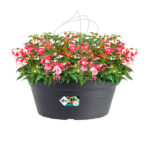 Maceta Elho Green Basics Bowl Living Black Planta