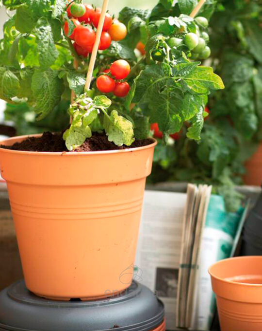 maceta-elho-green-basics-growpot-mild-terra-cultivo