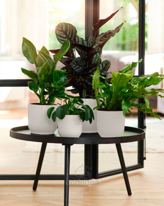 maceta-elho-vibes-fold-round-silky-white-interior